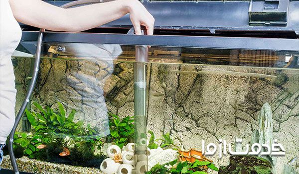 خدمات آنلاین سرویس و نگهداری آکواریوم