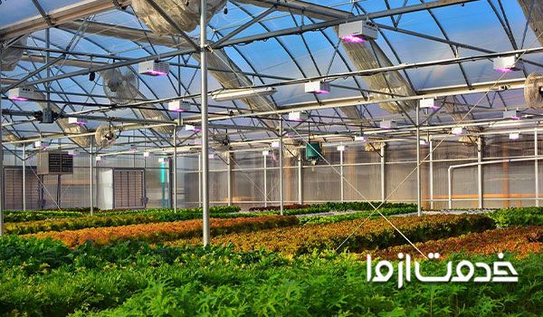 نصب مه پاش در گلخانه