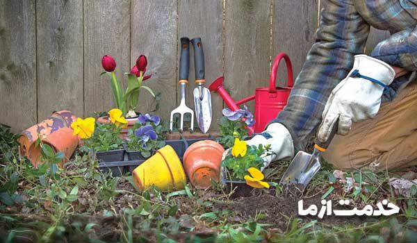 خاک مناسب باغچه خانگی