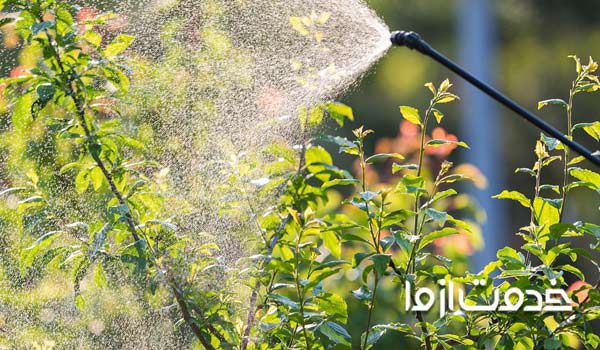 سمپاشی درختان میوه و انواع سم