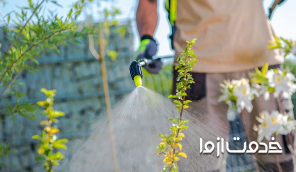 بهترین سم برای درختان میوه