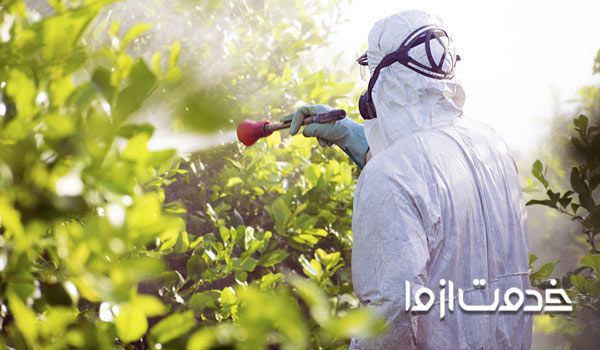 سم پاشی درخت