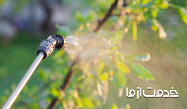 بهترین زمان سمپاشی درختان میوه