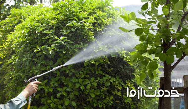 انواع سم درختان میوه