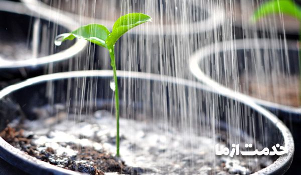سیستم آبیاری باغچه