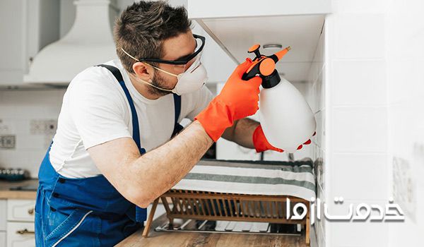 هزینه سمپاشی منزل