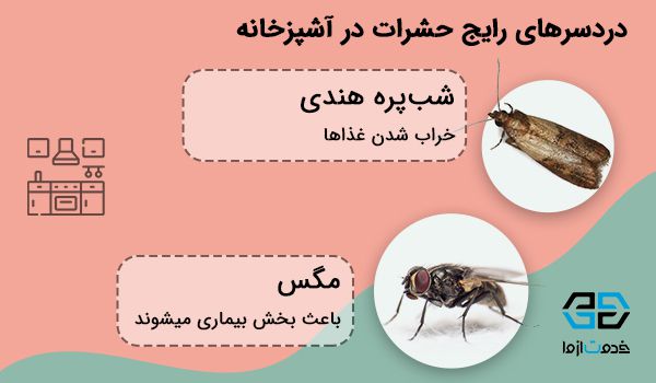 سمپاشی منازل