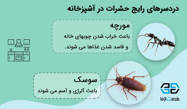 سم پاشی منزل