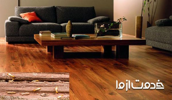 از بین بردن موریانه