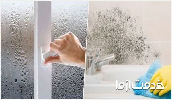 از بین بردن کپک دیوار