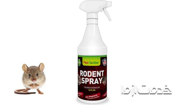 راهکارهایی برای دفع موش با استفاده از مواد غذایی و ابزار