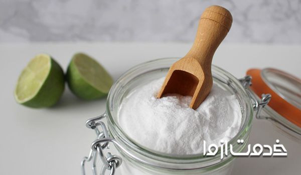 قویترین سوسک کش