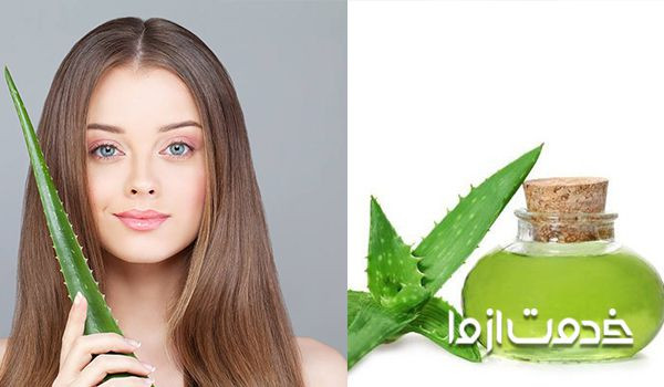 فواید استفاده از آلوئه ورا برای موی سر