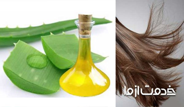 روش استفاده از گیاه آلوئه ورا برای مو