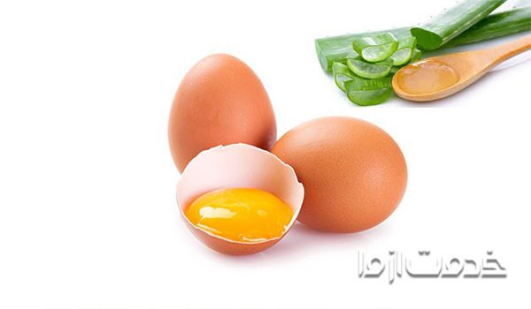 ماسک تخم مرغ و آلوورا