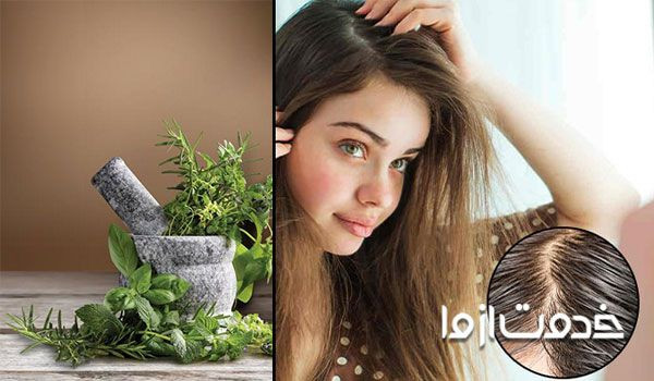 درمان گیاهی برای موهای چرب