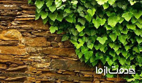 دیوار سنگی برای ساختمان
