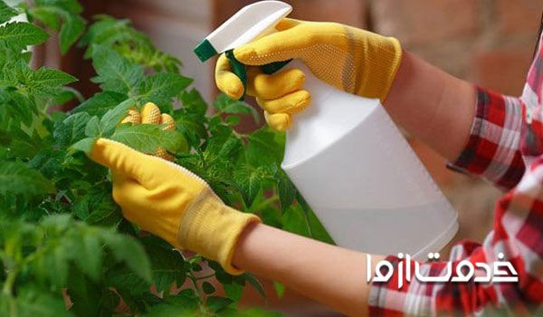 تهیه آفت کش های خانگی