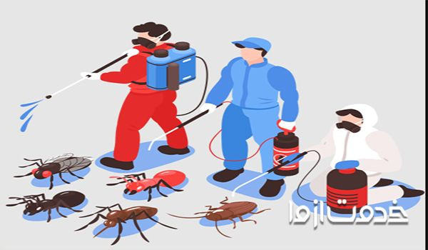 بهترین زمان سمپاشی منزل