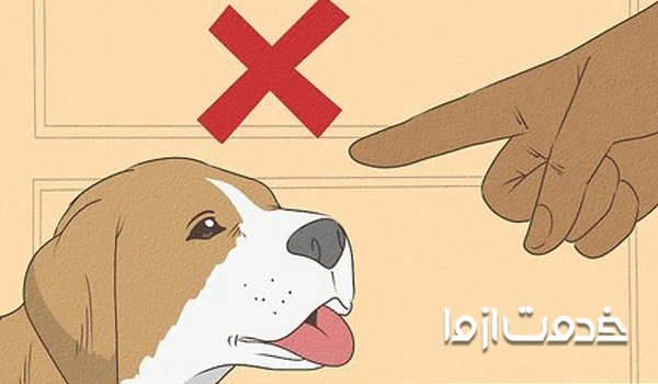 آموزش فرمان‌های رفتاری در تربیت سگ