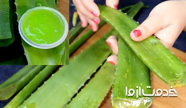 طرز تهیه ژل آلوورا خوراکی ژل آلوورا برای صورت خرید ژل آلوورا ژل آلوئه ورا سینره