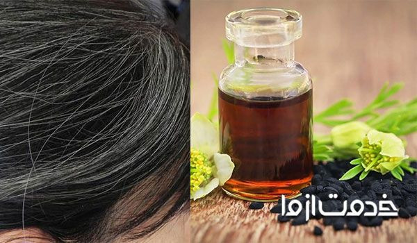 رفع سفیدی مو برای همیشه با روغن سیاه دانه