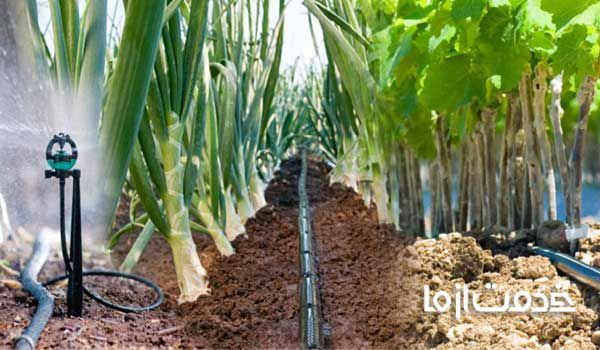 نمونه طرح آبیاری قطره ای باغ