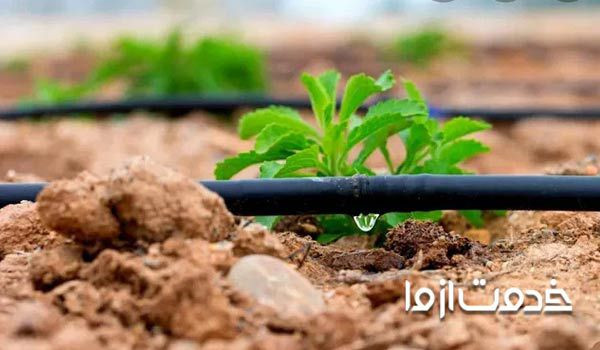 معایب آبیاری قطره ای